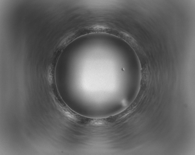 X0000073840762200608101229