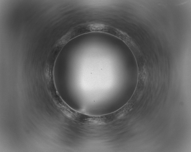 X0000073840763200608101229