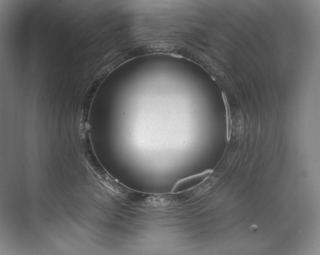 X0000073840764200608101229