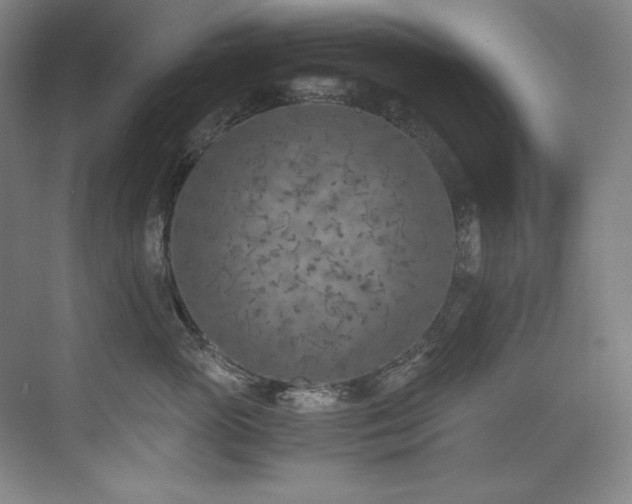 X0000073840765200608101229