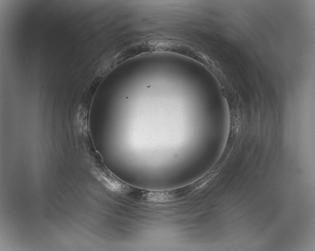 X0000073840766200608101229