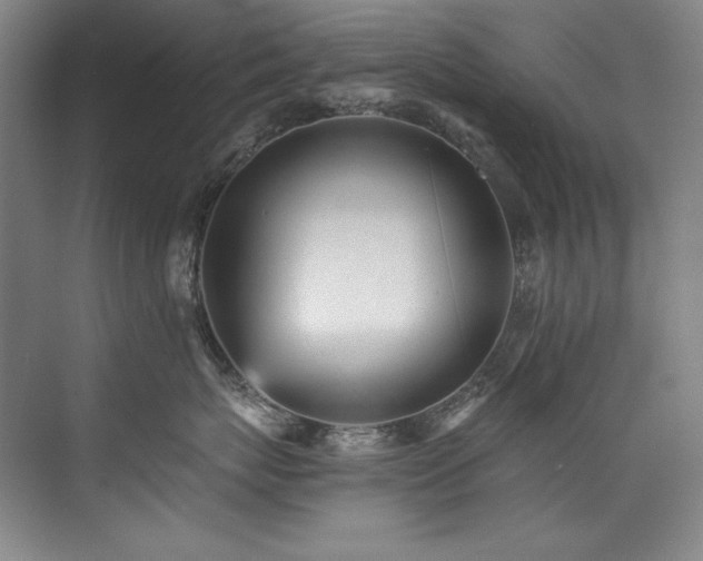 X0000073840767200608101229