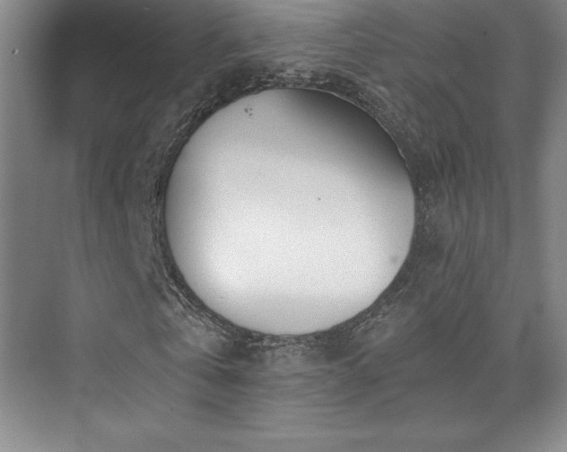 X0000073840769200608101228