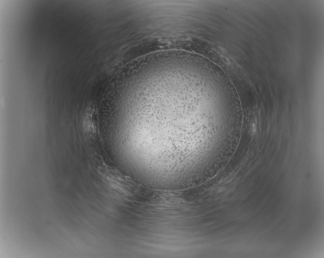 X0000073840770200608101228