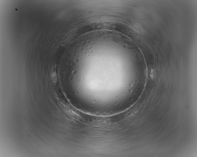 X0000073840771200608101228