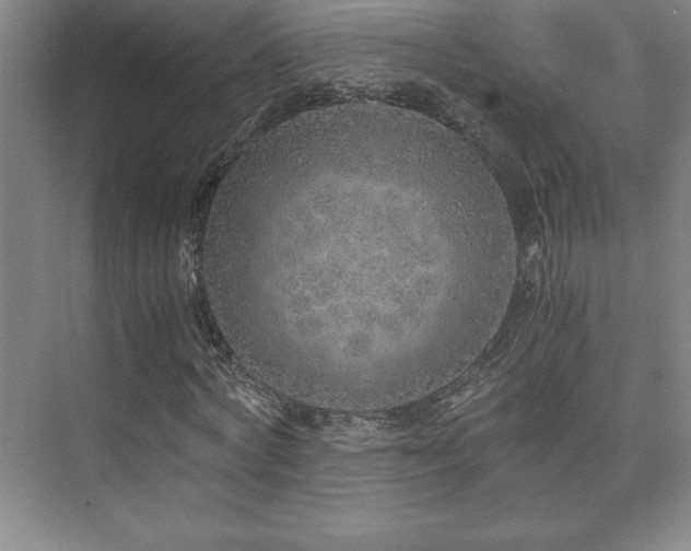 X0000073840772200608101228