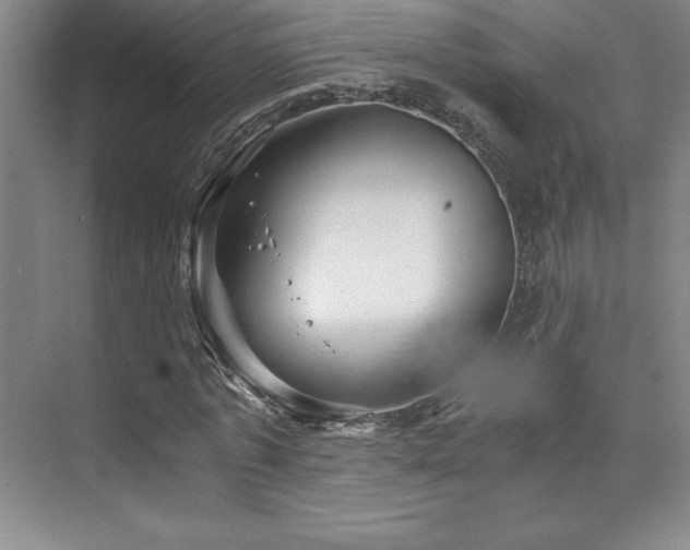 X0000073840773200608101228