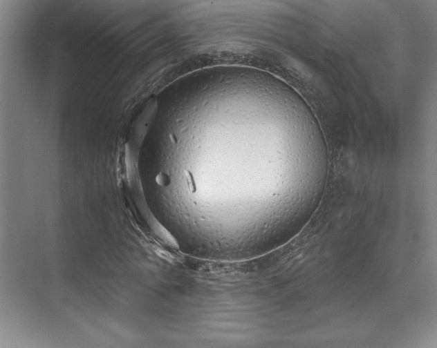 X0000073840774200608101228