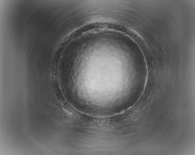 X0000073840775200608101228