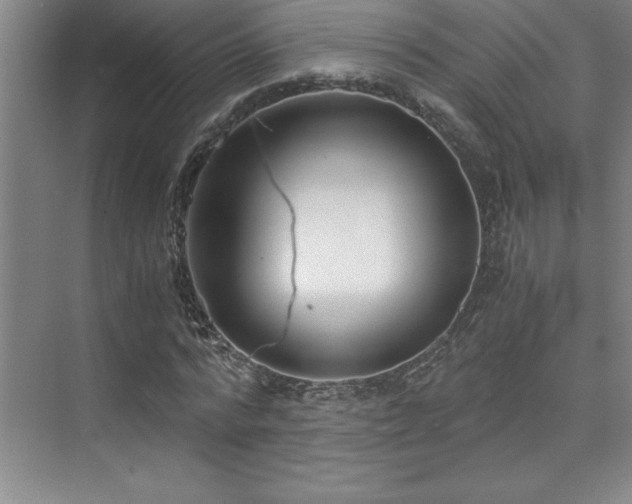 X0000073840776200608101228