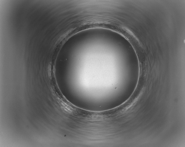 X0000073840777200608101228