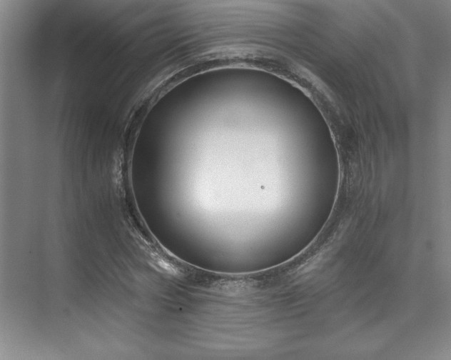 X0000073840778200608101228