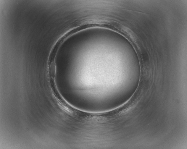 X0000073840779200608101228