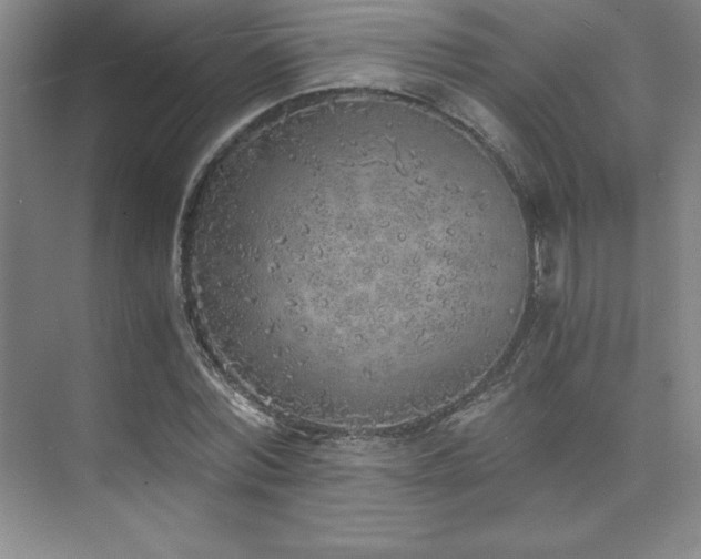 X0000073840780200608101228