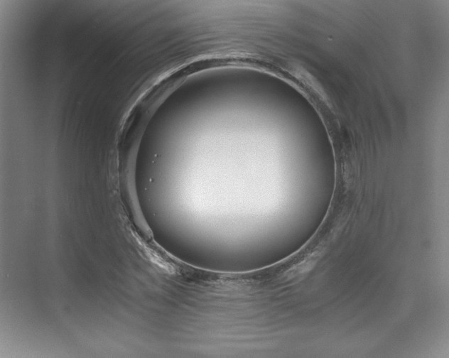 X0000073840781200608101228