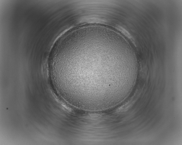 X0000073840782200608101228