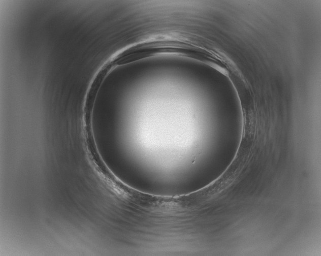 X0000073840784200608101228