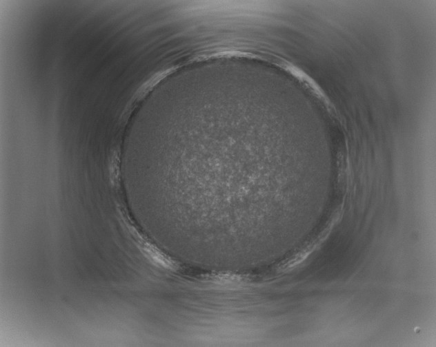 X0000073840785200608101228