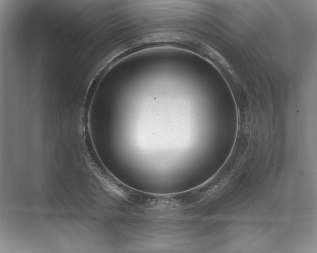 X0000073840786200608101228