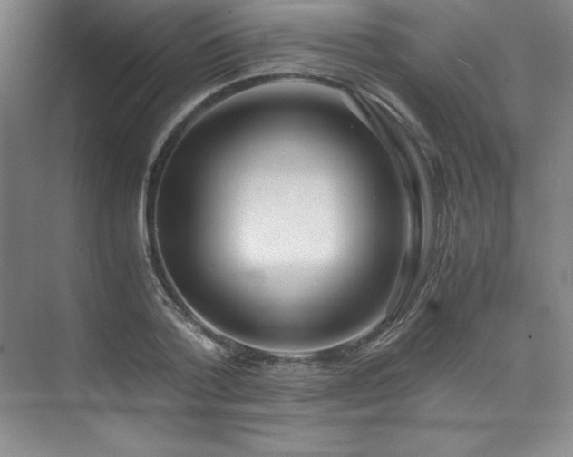 X0000073840788200608101228