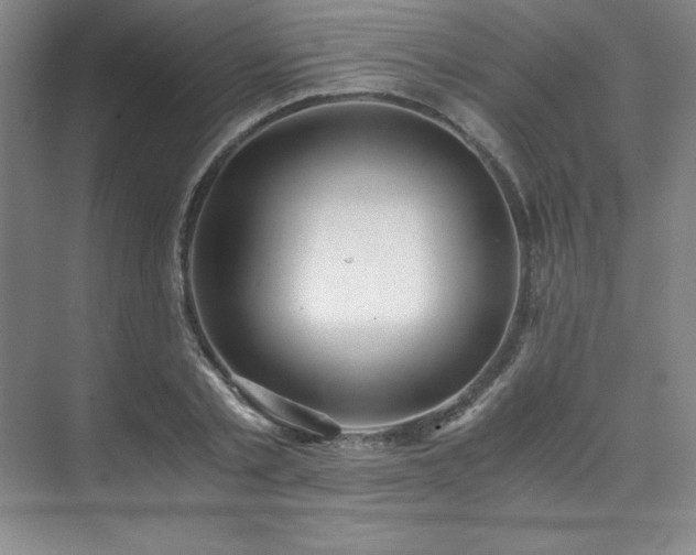 X0000073840789200608101228