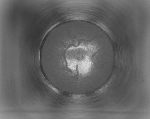 X0000073840790200608101228