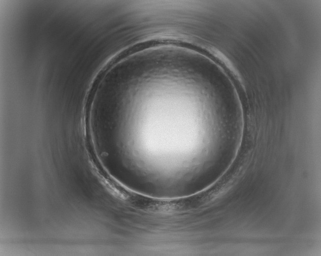 X0000073840791200608101228