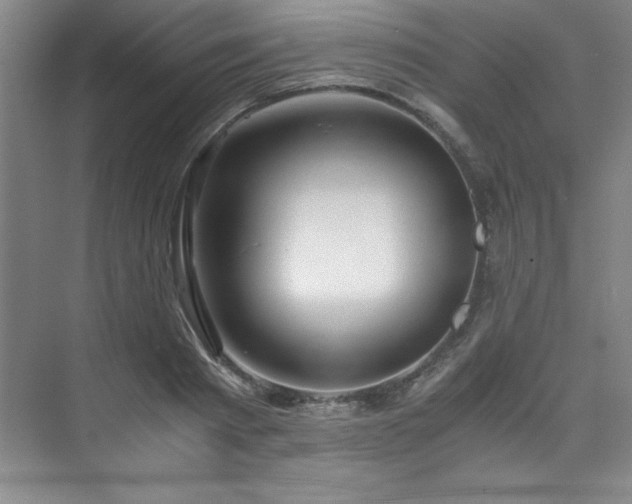 X0000073840793200608101228