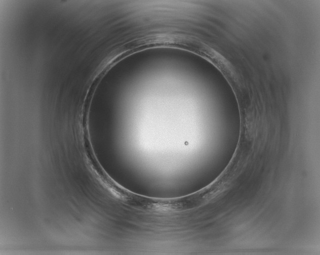 X0000073840794200608101228