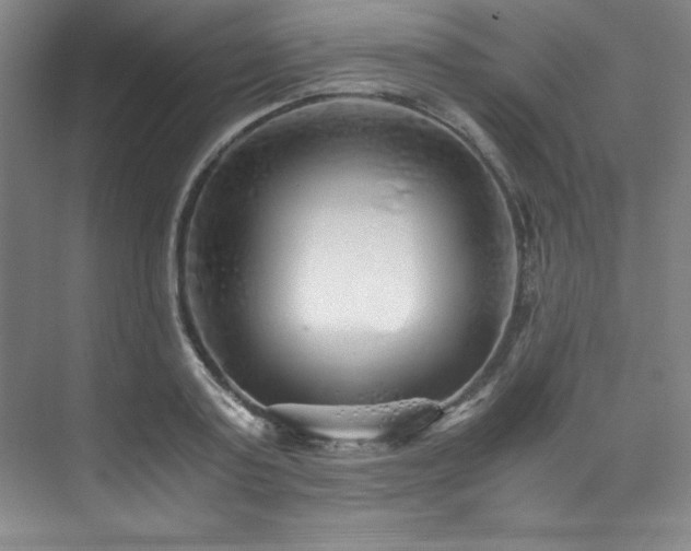 X0000073840795200608101228