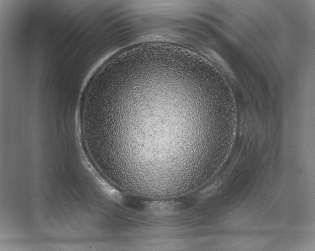 X0000073840796200608101228