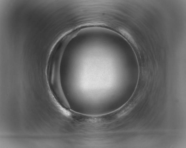 X0000073840797200608101228