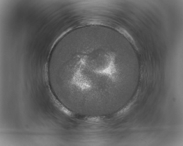 X0000073840798200608101228