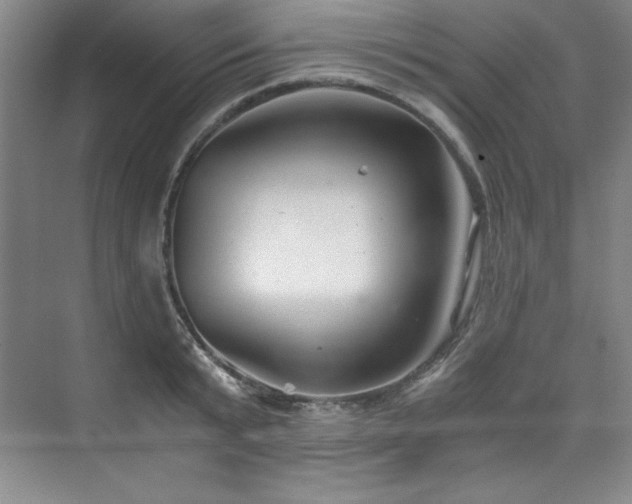 X0000073840799200608101228