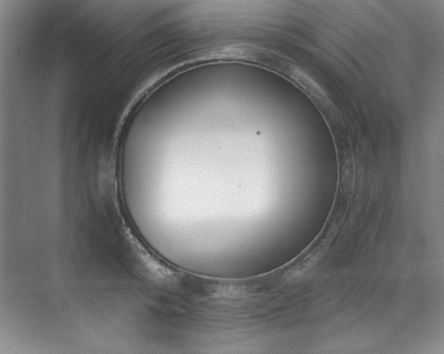 X0000073840800200608101228