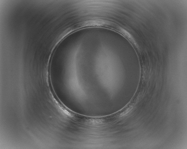 X0000073840802200608101228