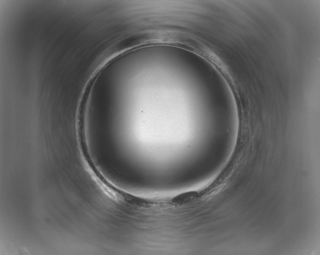 X0000073840803200608101228