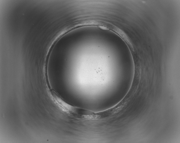 X0000073840805200608101228