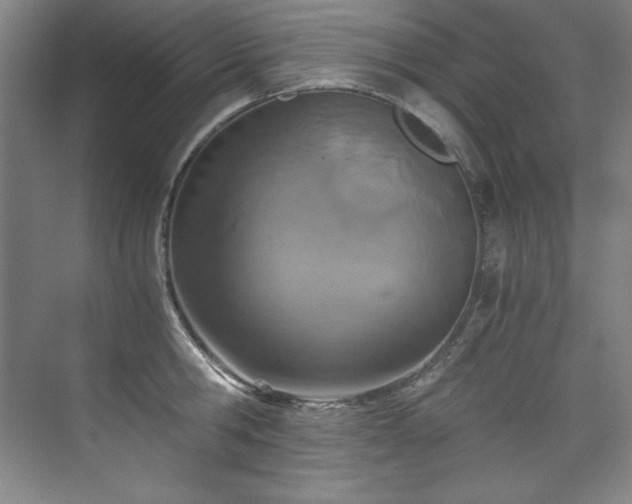 X0000073840806200608101228