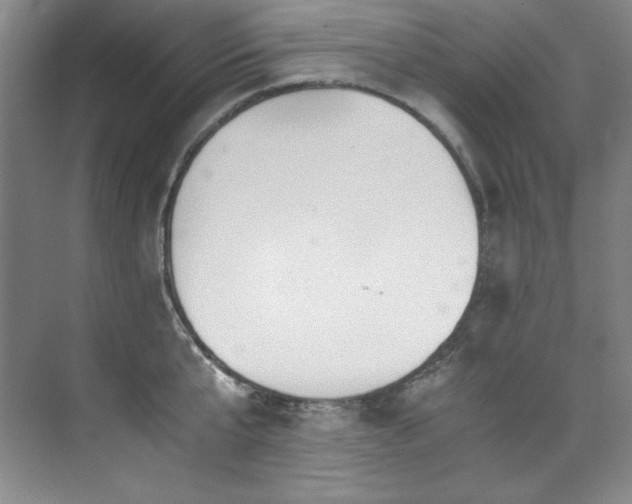 X0000073840807200608101228