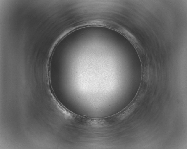 X0000073840808200608101228