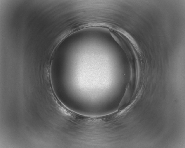 X0000073840809200608101228