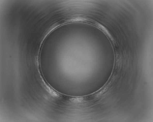 X0000073840810200608101228