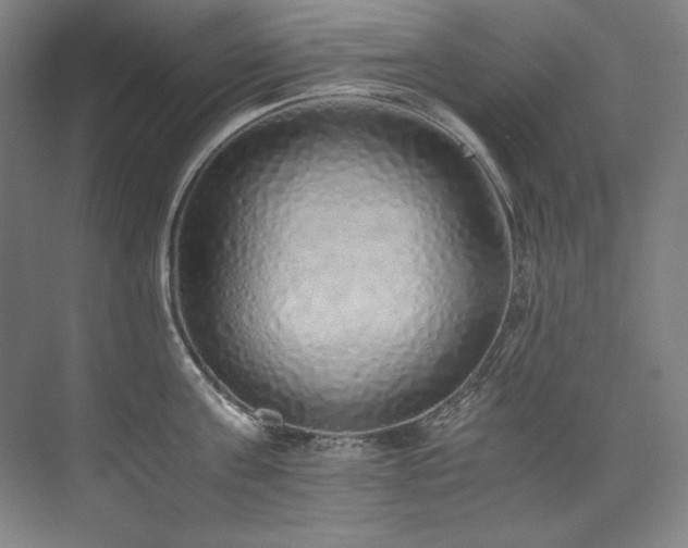 X0000073840811200608101228