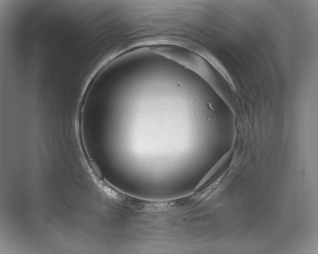 X0000073840813200608101228