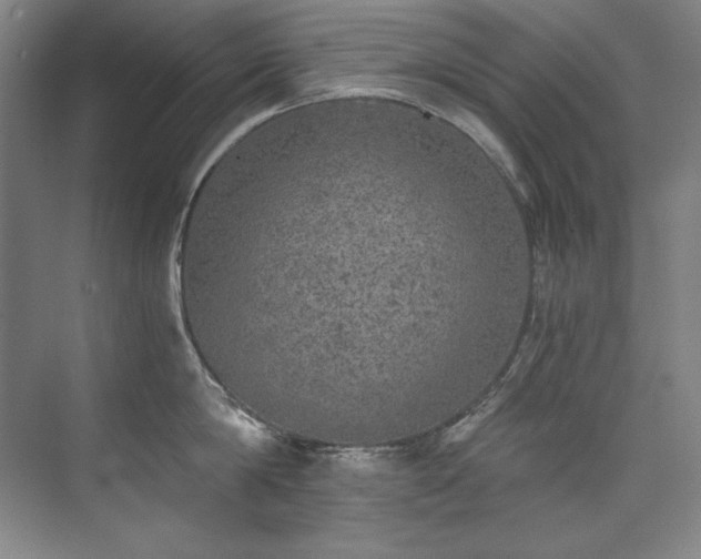 X0000073840814200608101228