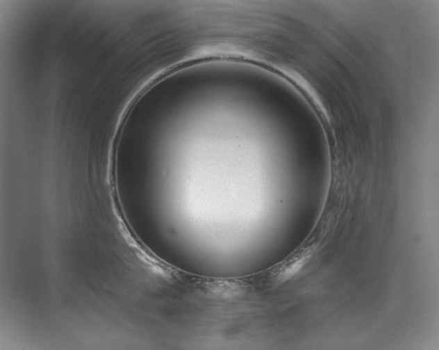 X0000073840815200608101228