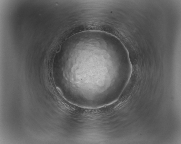 X0000073840817200608101227