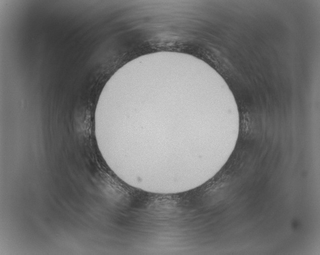 X0000073840820200608101227