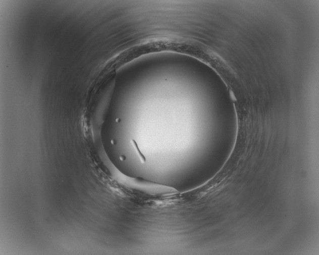 X0000073840822200608101227